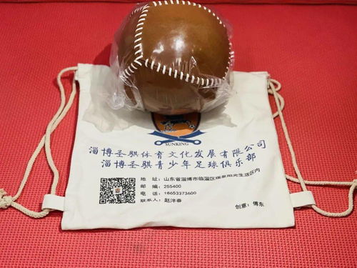 “一諾威杯”學(xué)黨史云健步百日行 創(chuàng)新參與模式，深化紅色教育